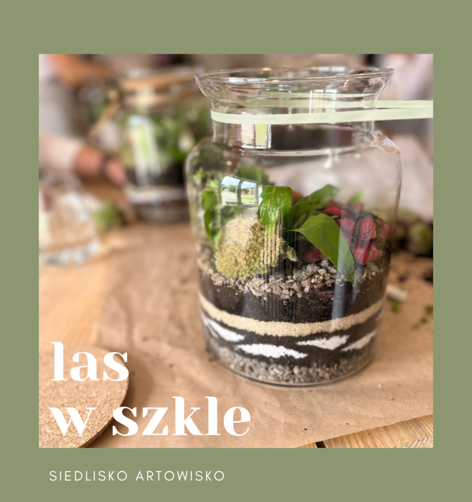 Warsztaty tworzenia lasów szkle
