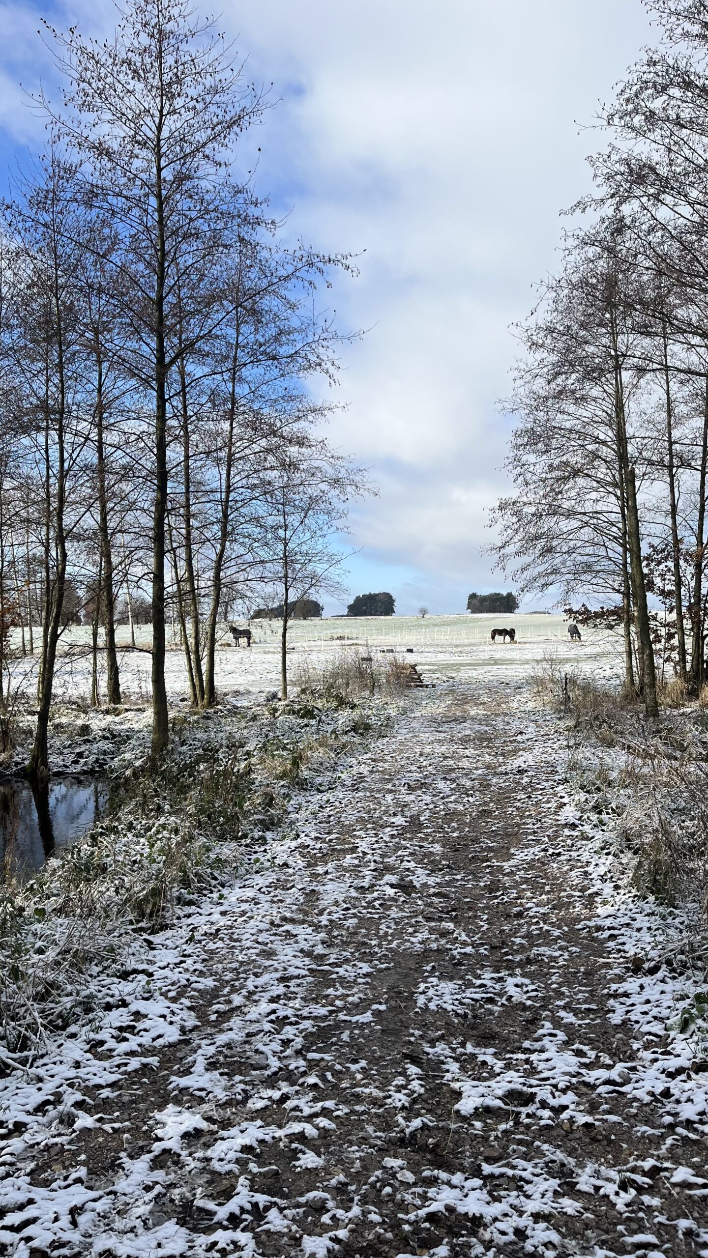 Warsztaty tworzenia wianko-stroików - świąteczna edycja - obrazek 6