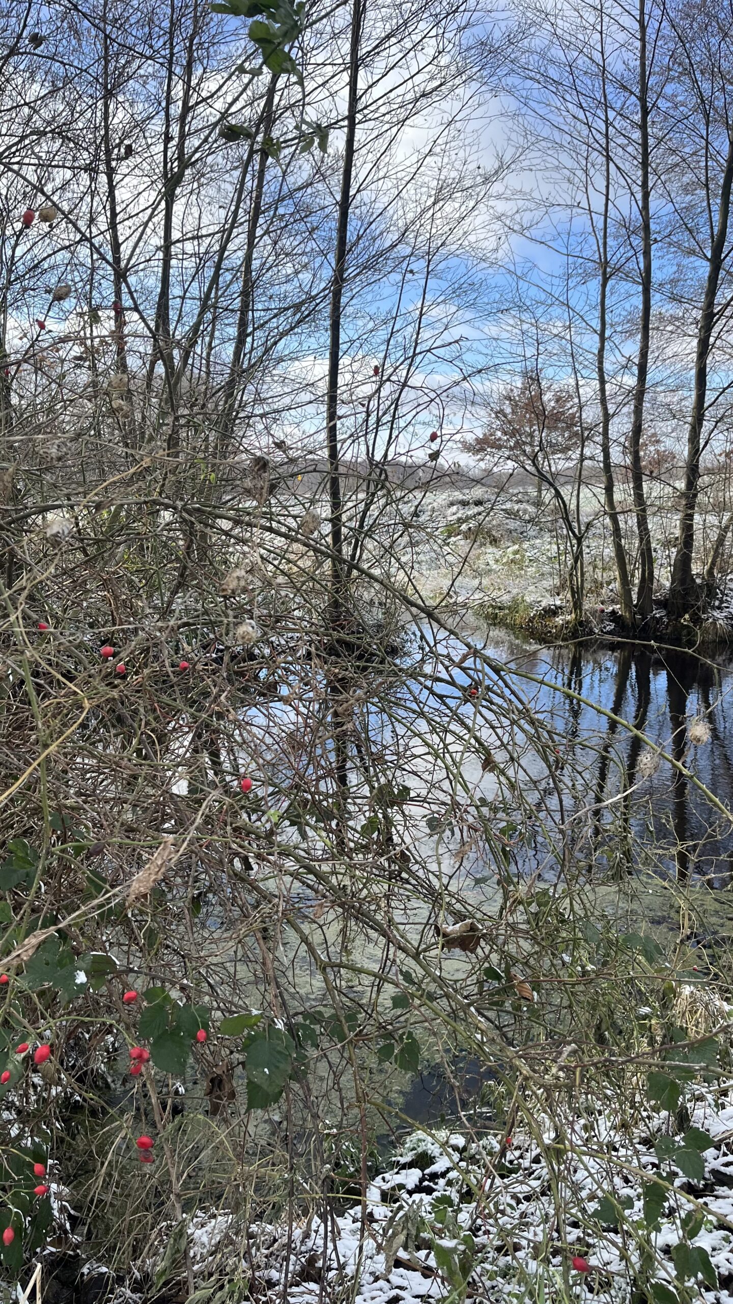 Warsztaty tworzenia wianko-stroików - świąteczna edycja - obrazek 5